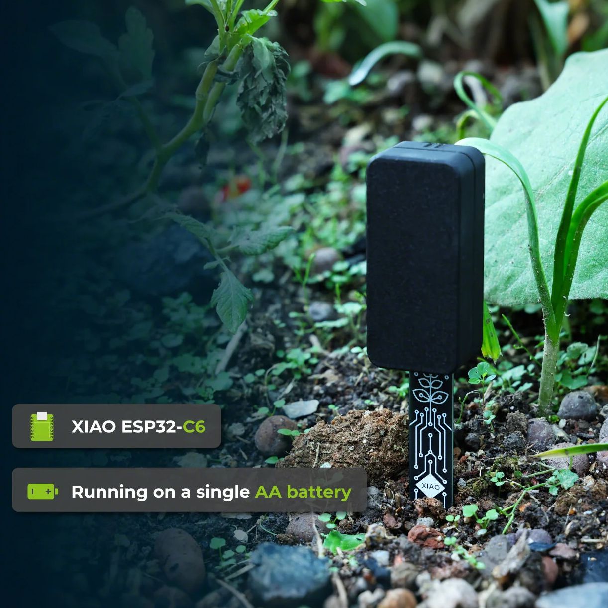เซ็นเซอร์วัดความชื้นในดิน XIAO - Home Automation Tutorial บทวิจารณ์และราคา